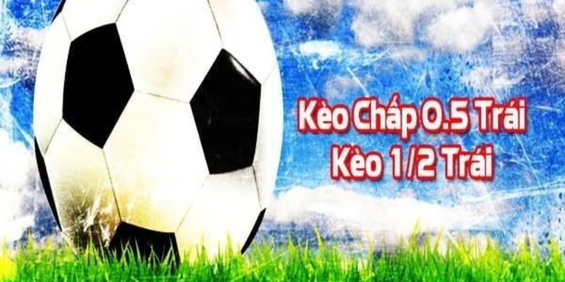 Tổng quan về kèo chấp 1/2 (0.5)