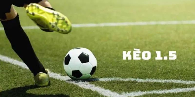 Phân tích các chiến lược đặt kèo hiệu quả