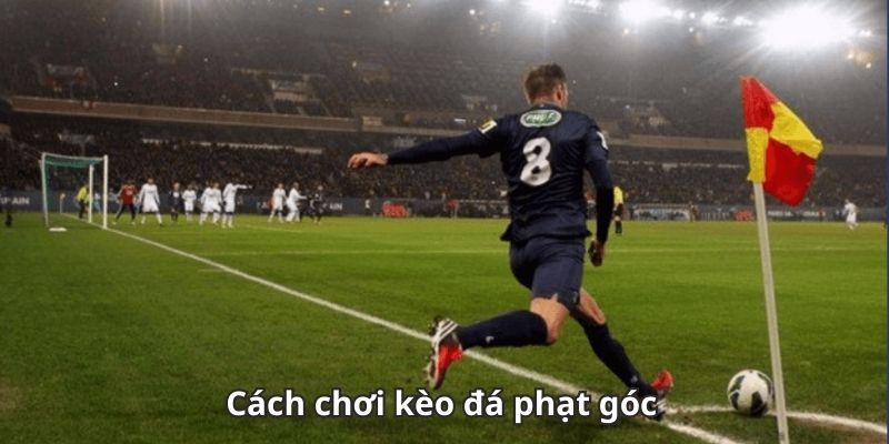 Những yếu tố tác động đến kèo